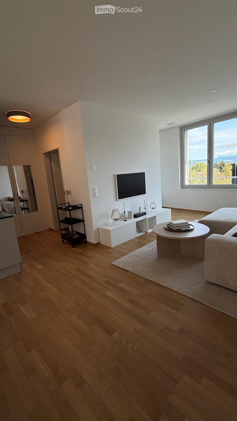 Modern living room with wooden flooring, large windows, a sofa, coffee table, television, and decorative lamps.