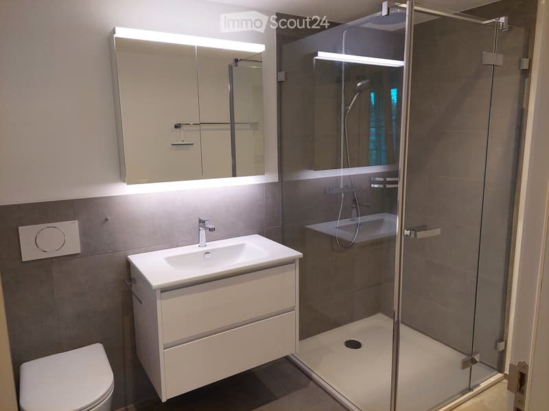 Modern bathroom with a white sink, toilet, mirrored cabinet with LED lighting, and a glass-enclosed shower with a handheld showerhead.