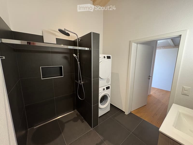 Modern bathroom with a black tiled shower, a white washing machine, and a white sink.
