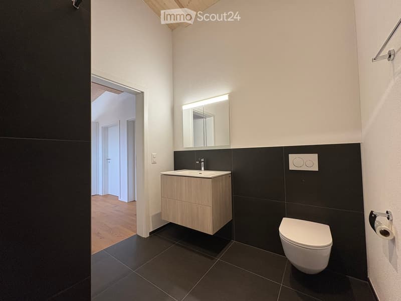 Modern bathroom with dark tiles, white sink, toilet, and illuminated mirror above the sink.
