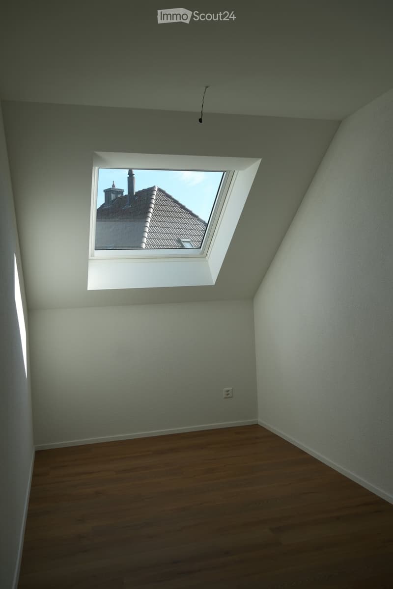 Empty attic room with wooden flooring, white walls, and a skylight window showing a view of a roof.