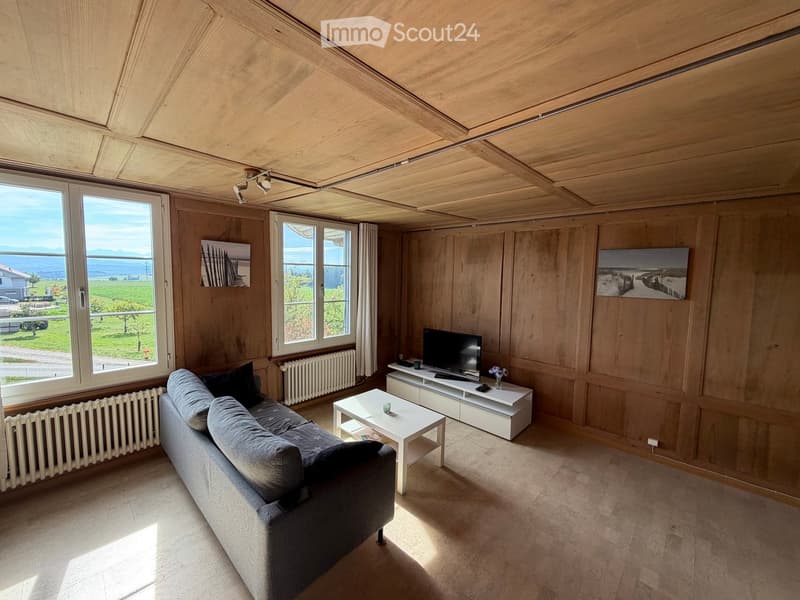 Bright living room with wooden walls and ceiling, large windows offering a scenic view, grey sofa, white coffee table, TV stand, and a small flower vase.