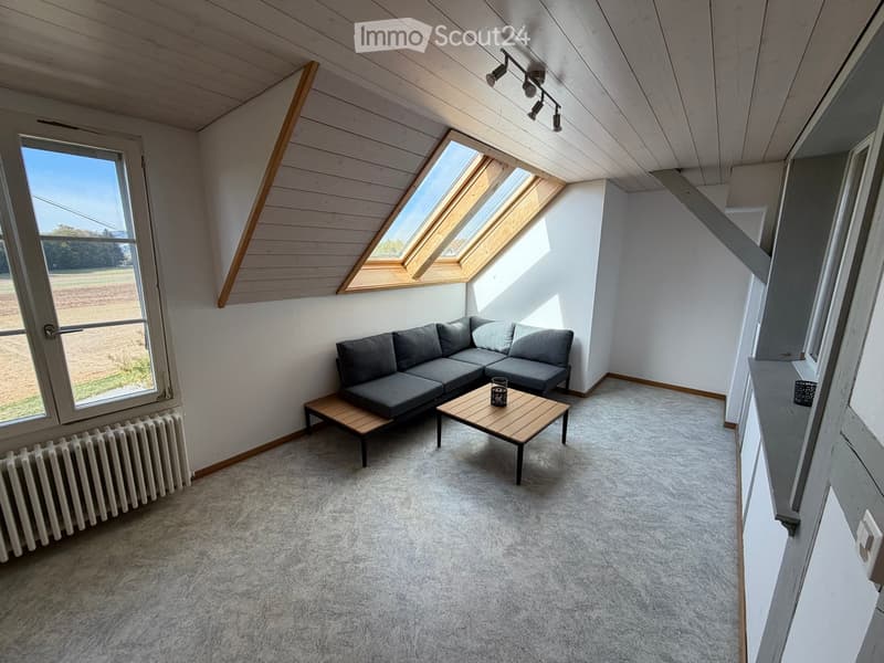Bright living room with grey sectional sofa, wooden coffee table, side table, large windows, skylights, and exposed wooden beams on the ceiling.
