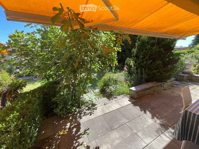 A well-maintained garden area with a large tree, neatly trimmed bushes, and a stone bench under an orange awning.