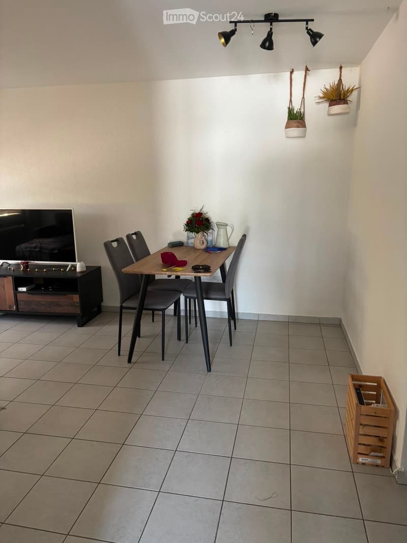 A modern dining area with a wooden table, four chairs, a television on a stand, and decorative potted plants on the wall.