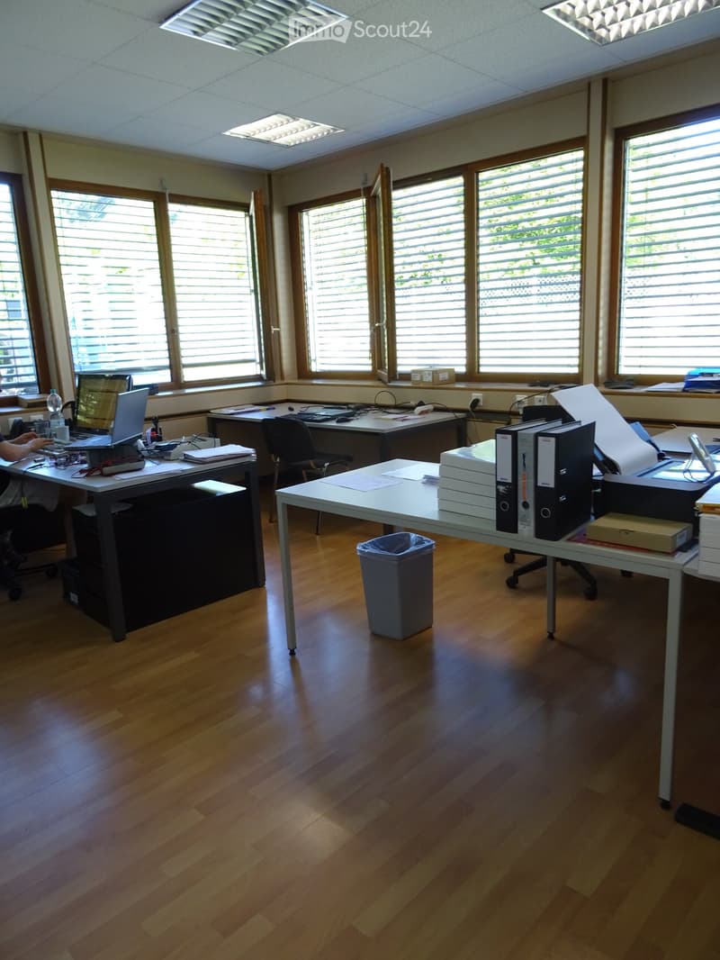 Office space with wooden flooring, large windows with blinds, desks, chairs, laptops, and office supplies.
