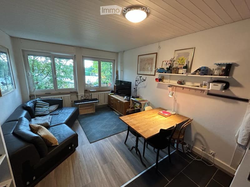 Living room: black leather couch, blue rug, wooden dining table with chairs, flat screen TV, piano, wooden cabinets, shelves, radiators, ceiling light, large windows