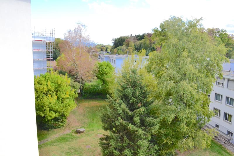 A green garden area with trees, grass, and a stone, surrounded by buildings and under construction scaffolding.