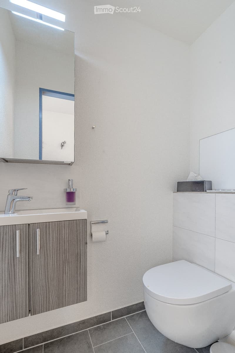 Modern bathroom with a white toilet, sink with a chrome faucet, mirrored cabinet, and a wooden cabinet under the sink.