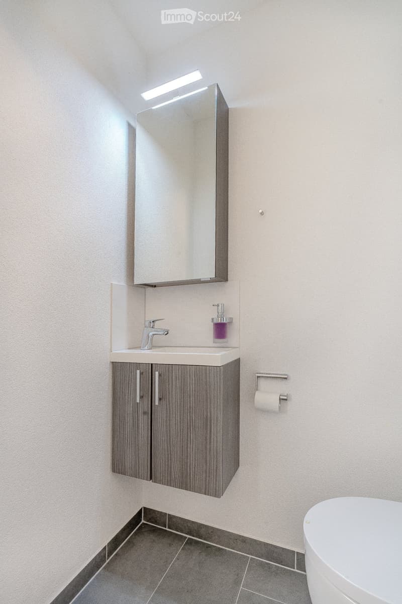 Modern bathroom with a sleek sink, mirrored cabinet, and a toilet. The space features dark wood cabinetry, a chrome faucet, and a built-in mirror with integrated lighting.