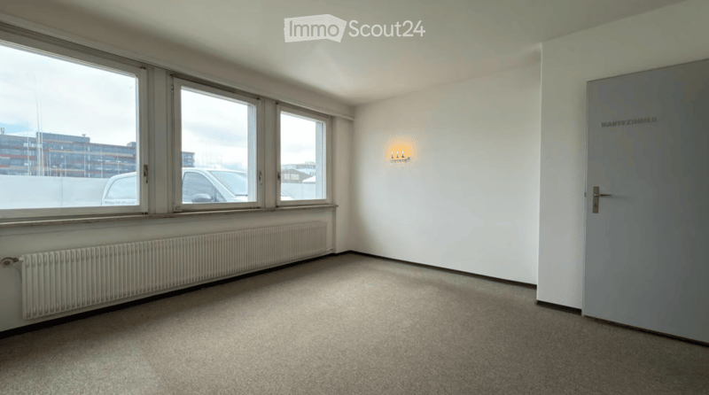 Empty room with white walls, large windows, carpeted floor, radiator, and a door with a blue design.