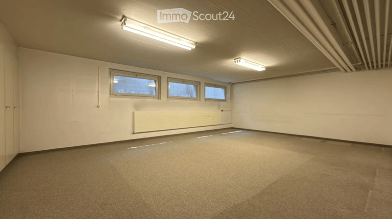 Empty room with white walls, concrete floor, three windows, and fluorescent lighting.
