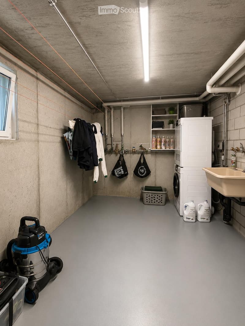 Laundry room with a washing machine, sink, vacuum cleaner, laundry basket, shelf with bottles, and a small window.