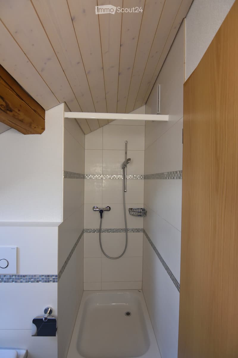 Modern bathroom with a bathtub, showerhead, faucet, toilet, and a shower shelf. The walls are tiled with a decorative border, and the ceiling has wooden paneling.