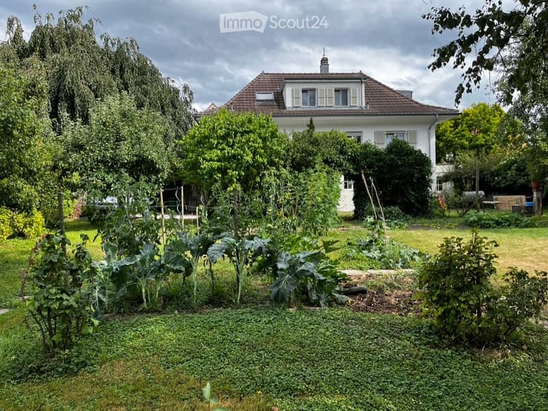 A well-maintained garden with a variety of plants and vegetables, surrounded by a white house with a red-tiled roof and multiple windows.