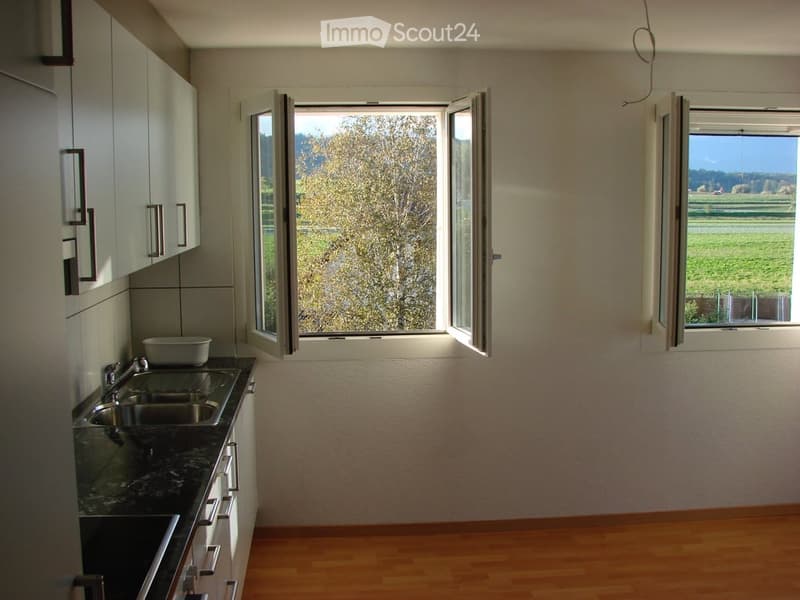 Modern kitchen with light-colored cabinets, a double sink, and large windows offering a scenic view of a green field and trees.