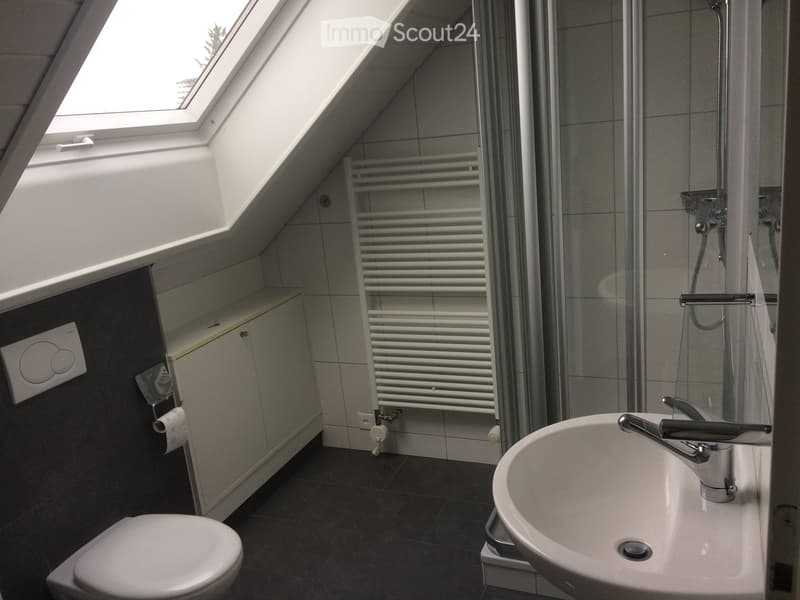 Modern bathroom with a toilet, sink, radiator, and built-in cabinet. Features a large skylight window and a glass-enclosed shower area.