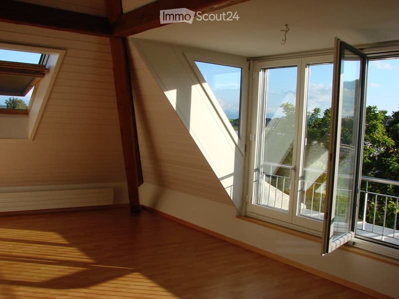 Empty attic room with wooden flooring, slanted wooden ceiling beams, large windows, and a skylight, allowing natural light to fill the space.