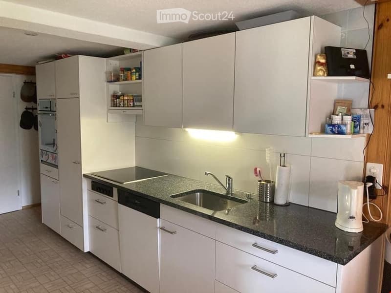 Modern kitchen with white cabinets, granite countertop, stainless steel sink, dishwasher, and various small appliances and items on the counter and shelves.