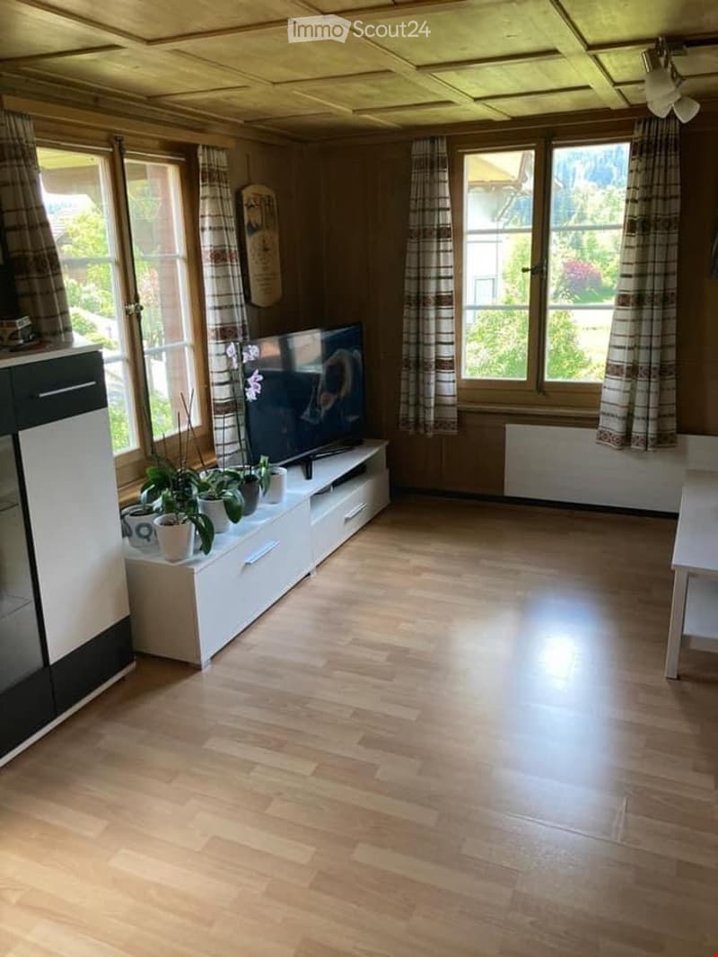 Bright living room with wooden flooring, large windows, television on a white cabinet, potted plants, and a chair near the window.
