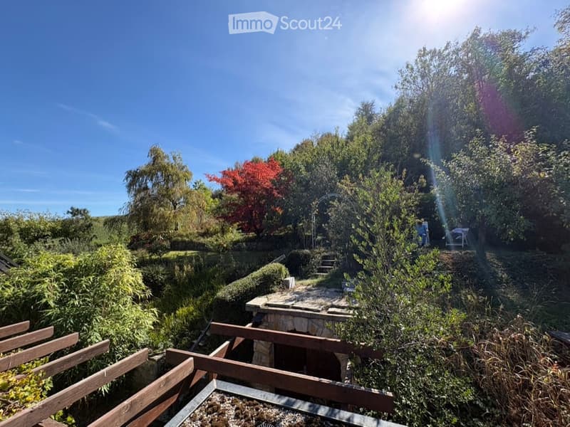 A lush garden with a variety of trees, shrubs, and a stone pathway leading to a small seating area with chairs and a table.