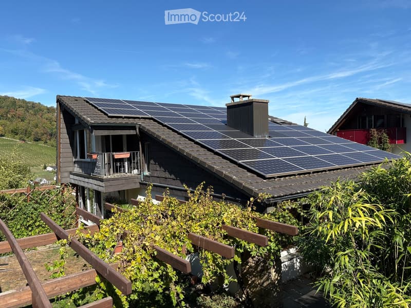 Haus aus südwestlicher Perspektive mit Balkonen und Reben-Pergola
