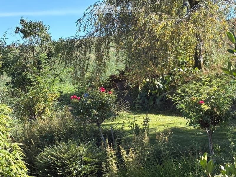 A lush garden with a variety of trees, shrubs, and flowering plants, featuring a well-maintained lawn and a clear blue sky in the background.