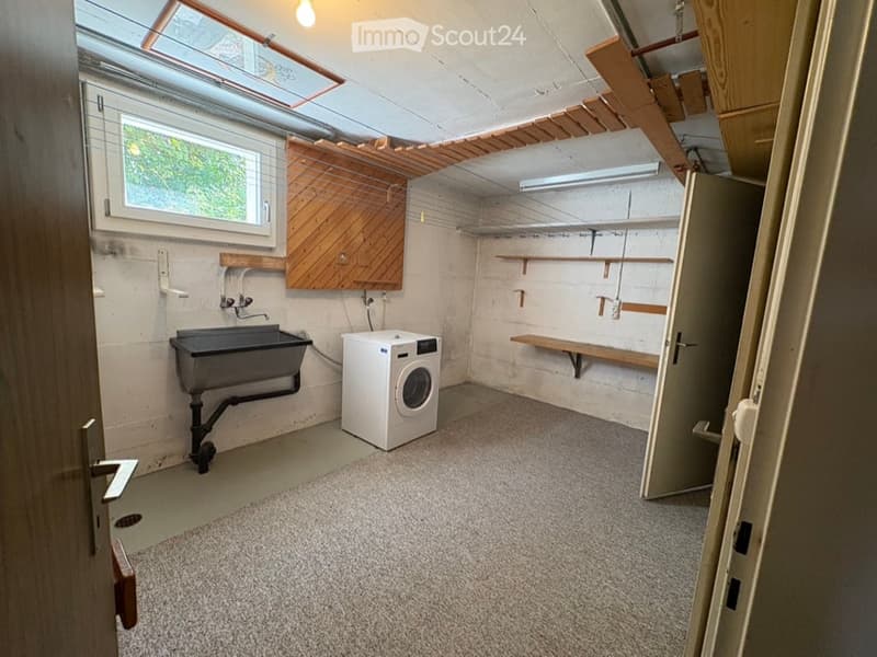 Laundry room with a washing machine, sink, wooden cabinet, and shelves.