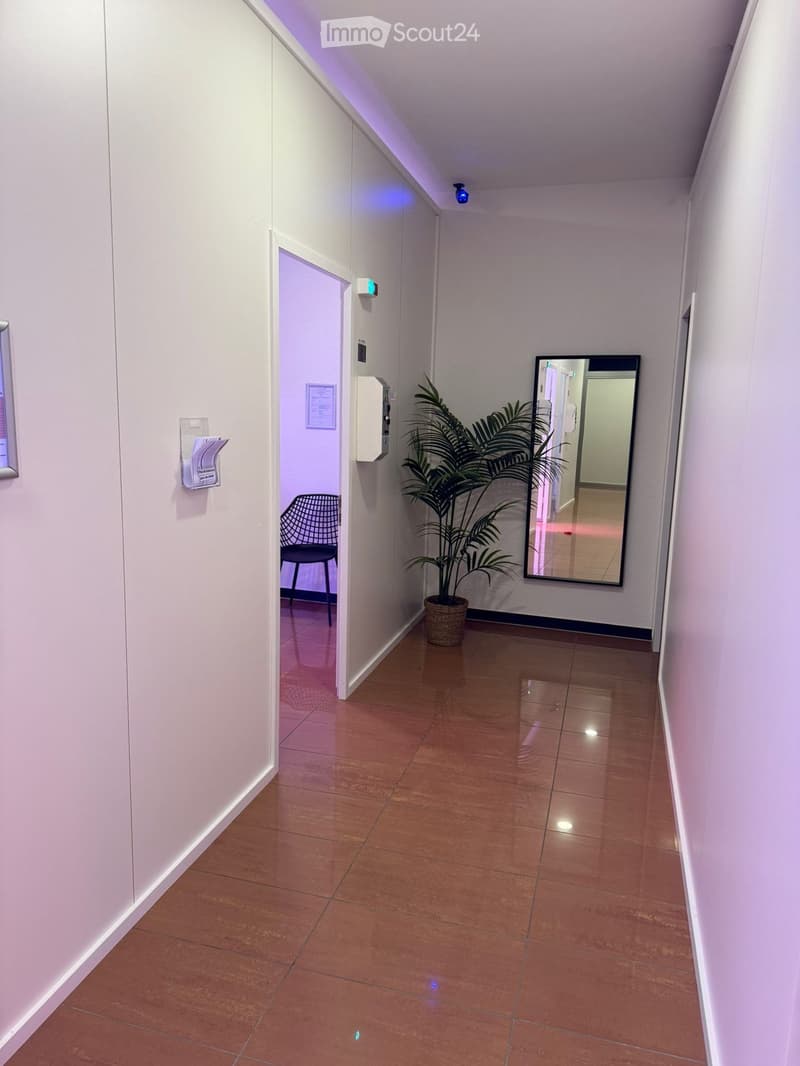 Modern hallway with polished wooden flooring, white walls, a potted plant, a mirror, and a chair in an adjacent room.