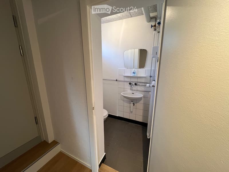 small bathroom with toilet, sink, and mirror
