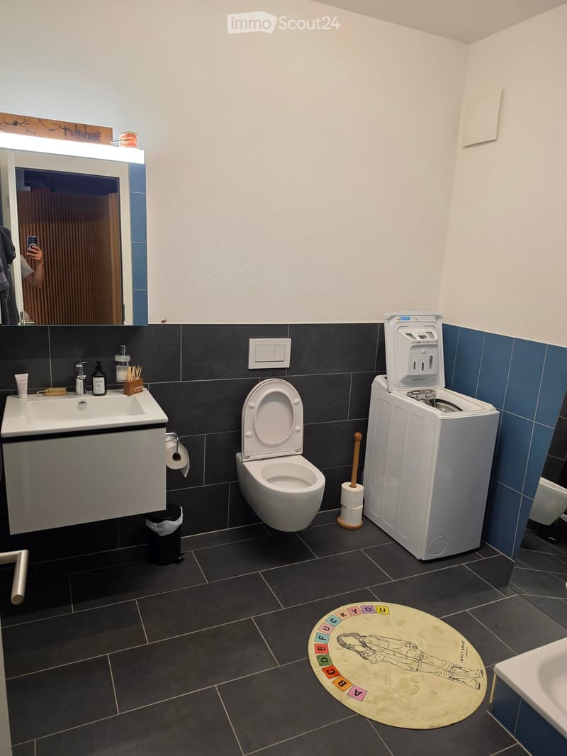 Modern bathroom with dark tiled walls and floor, white fixtures including a sink, toilet, and washing machine. Features a large mirror with a built-in light, a small cabinet under the sink, and a colorful bathroom rug with an illustrated design.