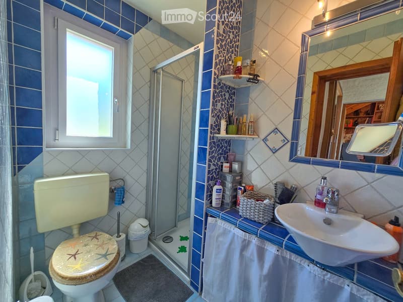 Bathroom with blue and white tiles, a toilet with a star-patterned seat, a sink with a mirror, a shower area, and various toiletries on shelves.