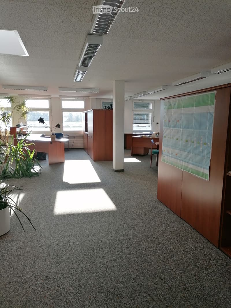 Office space with desks, chairs, cabinets, and plants, illuminated by natural light from large windows.