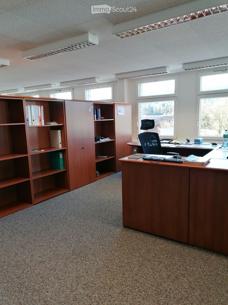 Office space with a large wooden desk, ergonomic chair, bookshelf, filing cabinet, and various office supplies.
