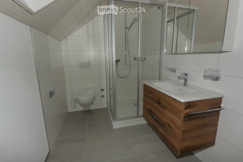 Modern bathroom with a toilet, sink, mirror, and glass-enclosed shower. Wooden vanity with drawers and a chrome faucet.