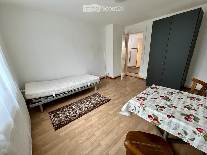 Möblierte Einer-u. Zweierzimmer (7)