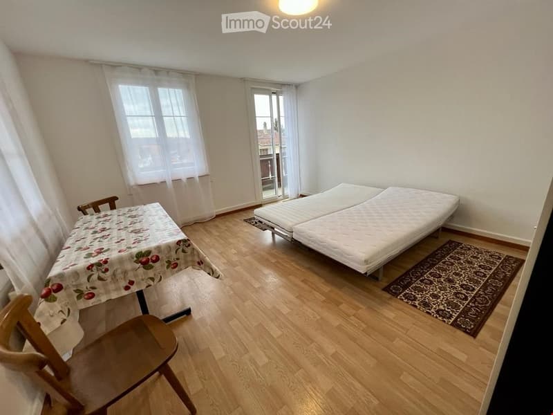 Möblierte Einer-u. Zweierzimmer (6)