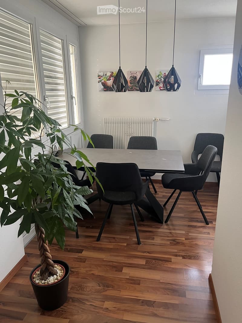 Dining area with wooden floor, modern table, chairs, large potted plant, radiator, and artwork on the wall.