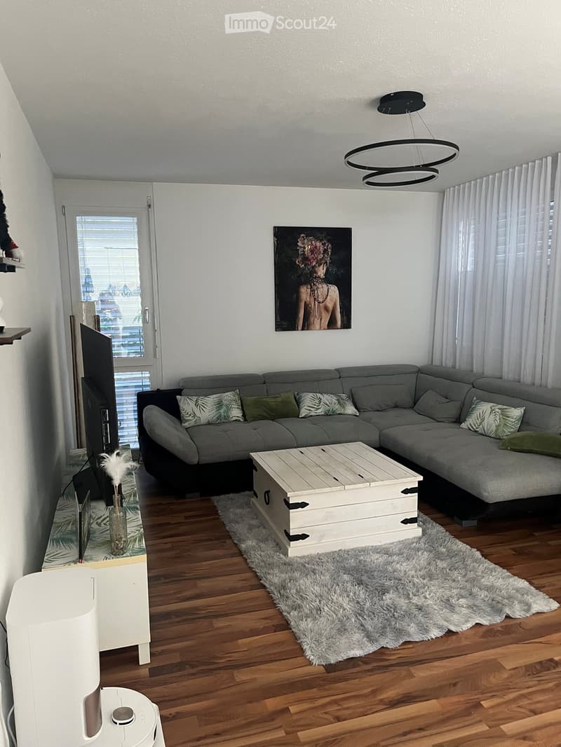 Modern living room with grey sectional sofa, wooden coffee table, fluffy rug, and large painting on wall. Features wooden flooring, large windows with blinds, and a TV on a stand.