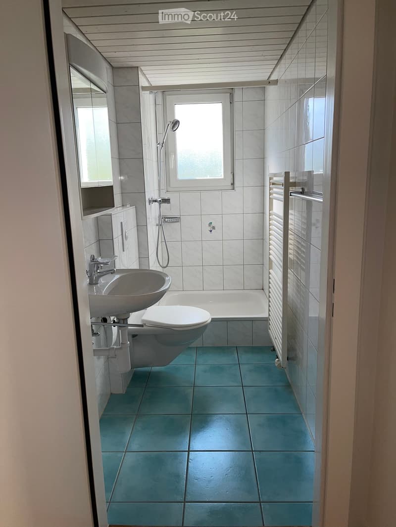 Modern bathroom with blue tiles, white fixtures, a bathtub, toilet, sink, and a radiator. Features a large window and a showerhead.