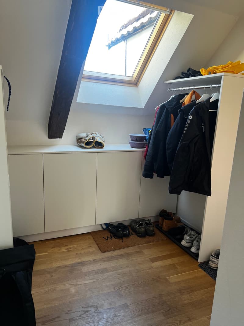 A well-organized closet with white built-in wardrobes, a hanging rod with clothes, shelves holding shoes and a bowl, and a small doormat on the floor.