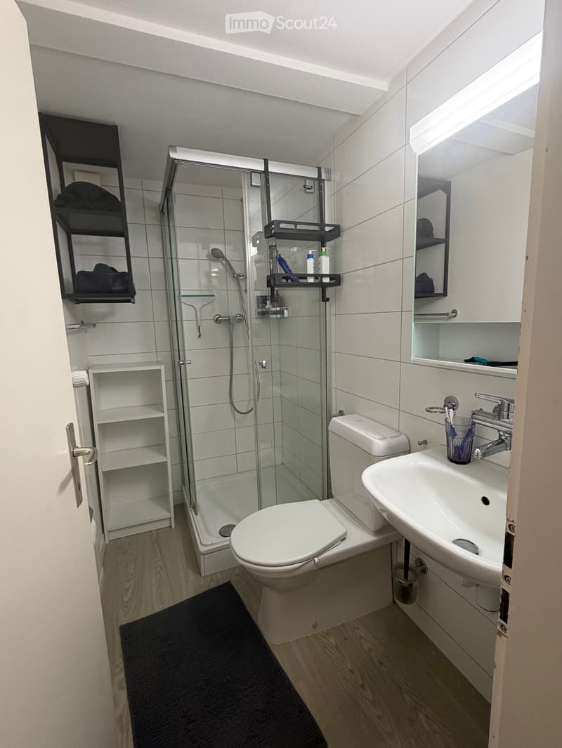 Modern bathroom with white tiles, a glass-enclosed shower, toilet, sink, and shelves for storage.