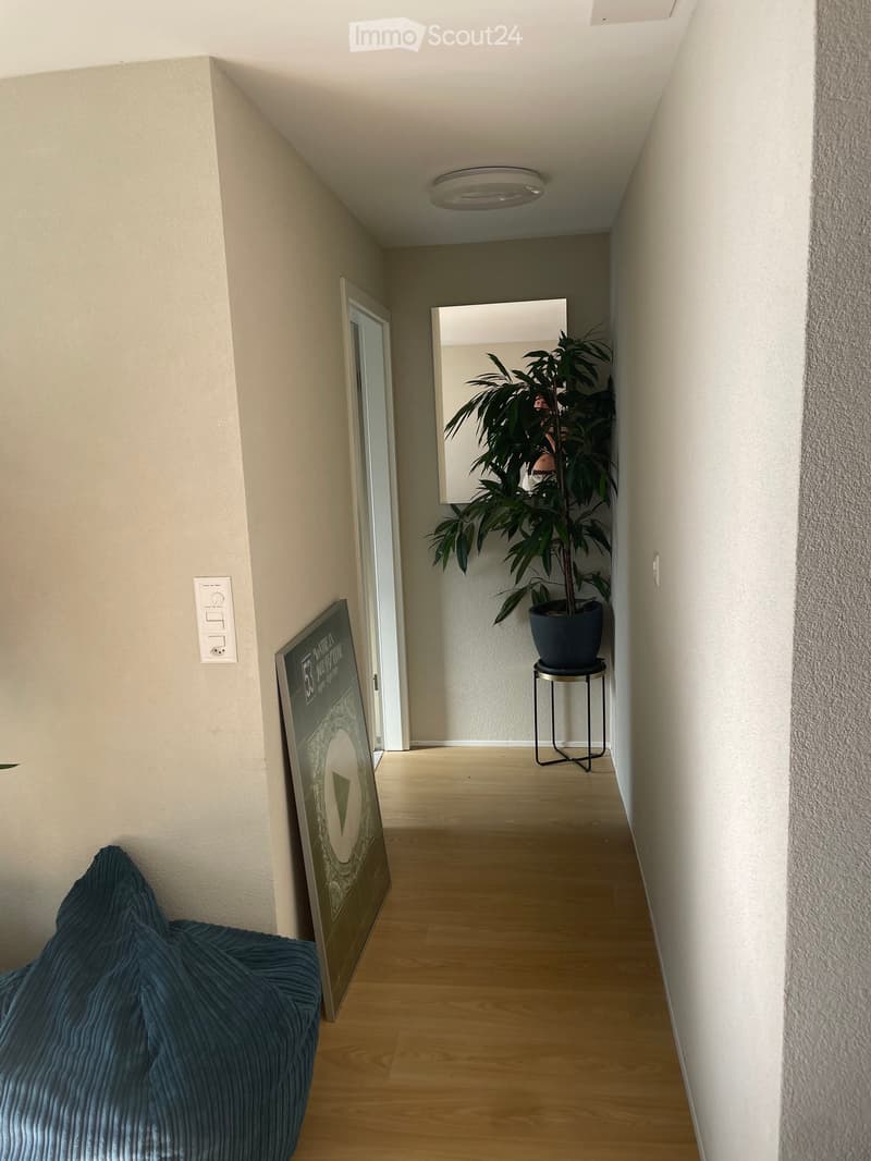 A narrow hallway with light wooden flooring, a blue sofa on the left, a potted plant on a stool in the background, and a mirror on the wall.