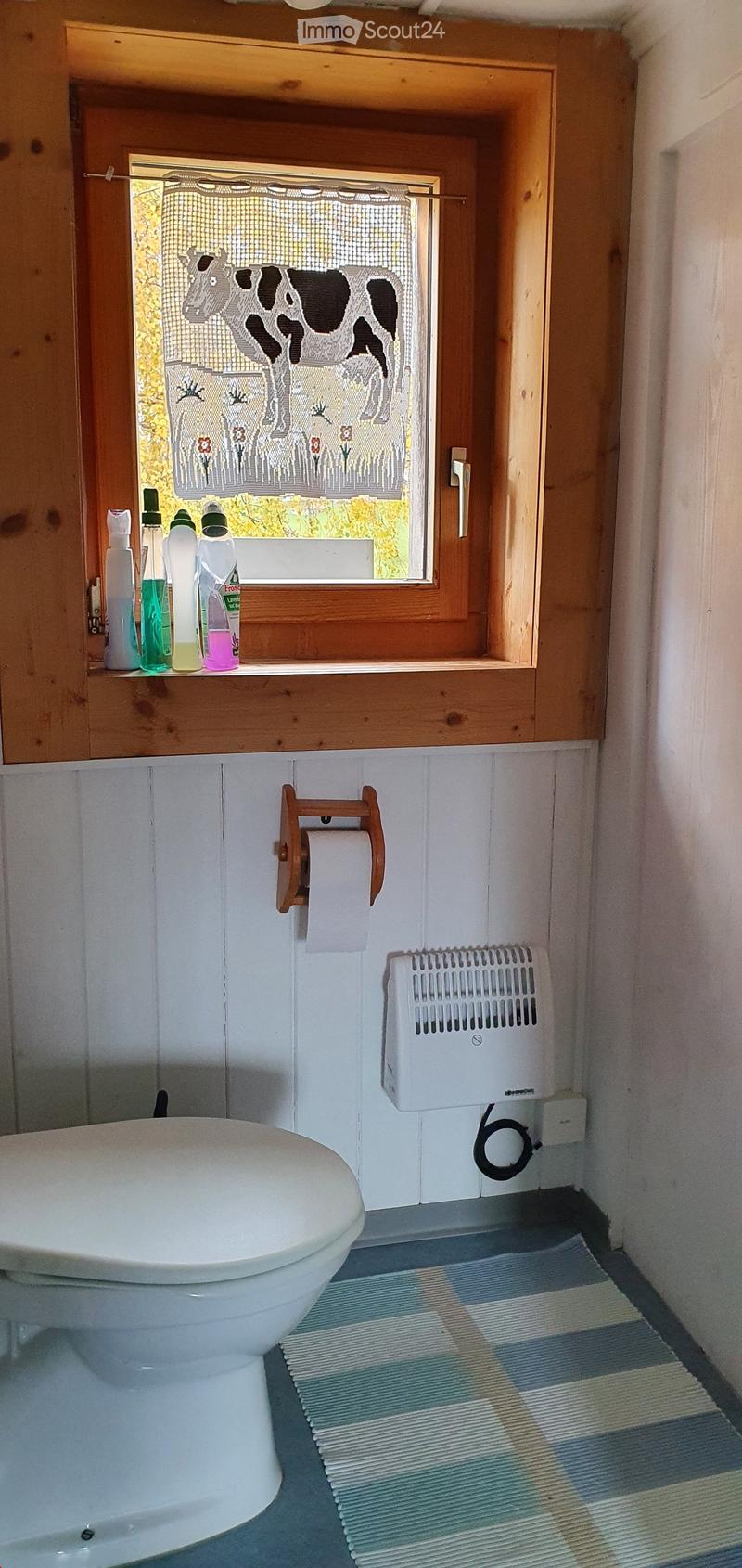 Bathroom with a toilet, toilet paper holder, a small heater, and cleaning bottles on the windowsill. The window has a decorative curtain featuring a cow and a landscape.