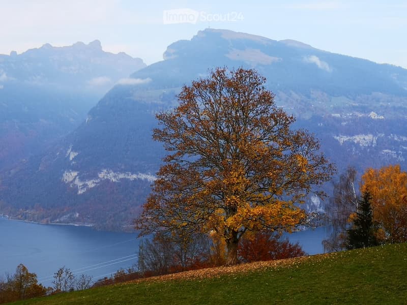 Autumn landscape with a large tree, grassy hill, lake, and distant mountains.