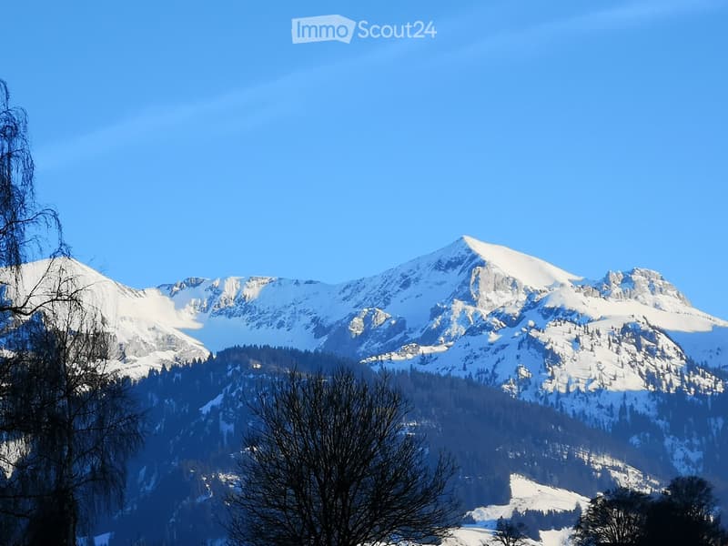 Snow-capped mountain range under a clear blue sky, with bare trees in the foreground and a forested valley below.
