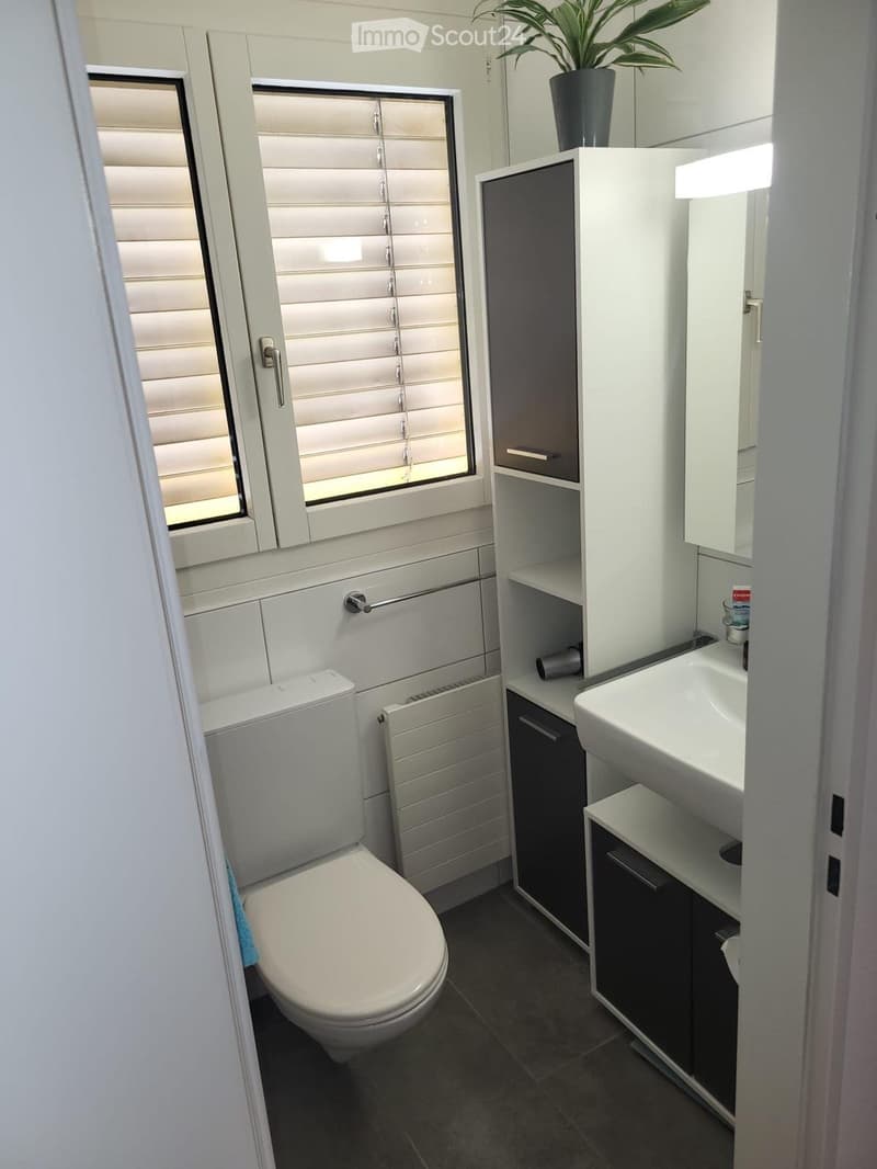 Modern bathroom with white toilet, sink, and cabinet, dark tiled floor, window with blinds, and a small plant on the cabinet.