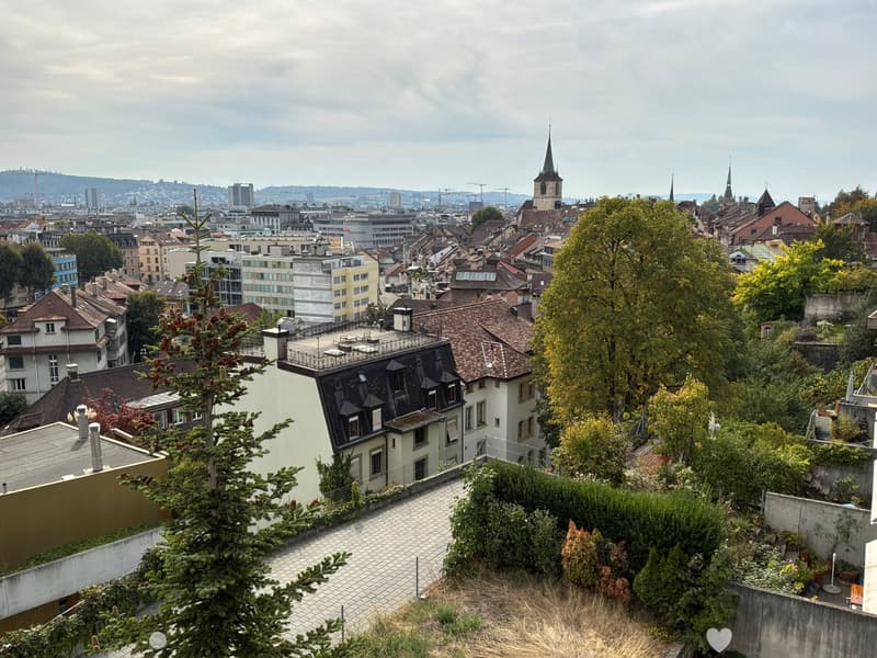A panoramic view of a cityscape with a mix of residential and commercial buildings, trees, and a church spire in the distance.