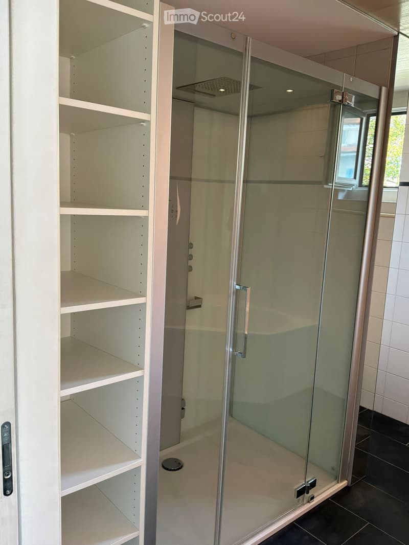 Modern bathroom with a glass shower enclosure, white tiled walls, and built-in white shelves.