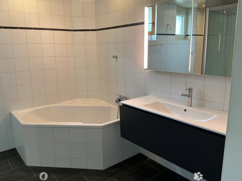 Modern bathroom with a corner bathtub, a sink with a modern faucet, a mirrored cabinet, and dark tiled flooring.